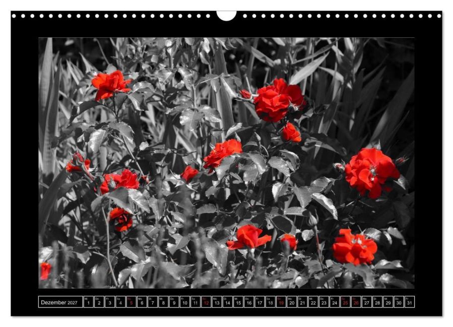 InsideView 4