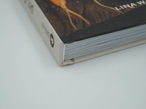 InsideView 5