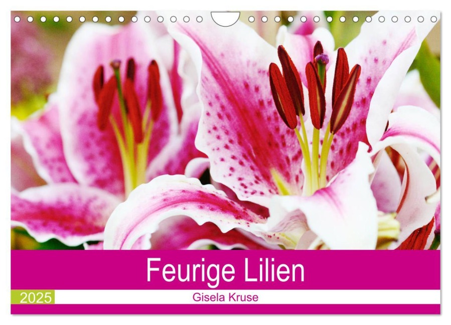 Feurige Lilien (Wandkalender 2025 DIN A4 quer), CALVENDO Monatskalender - Gisela Kruse