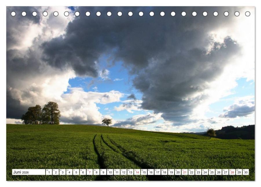 InsideView 11