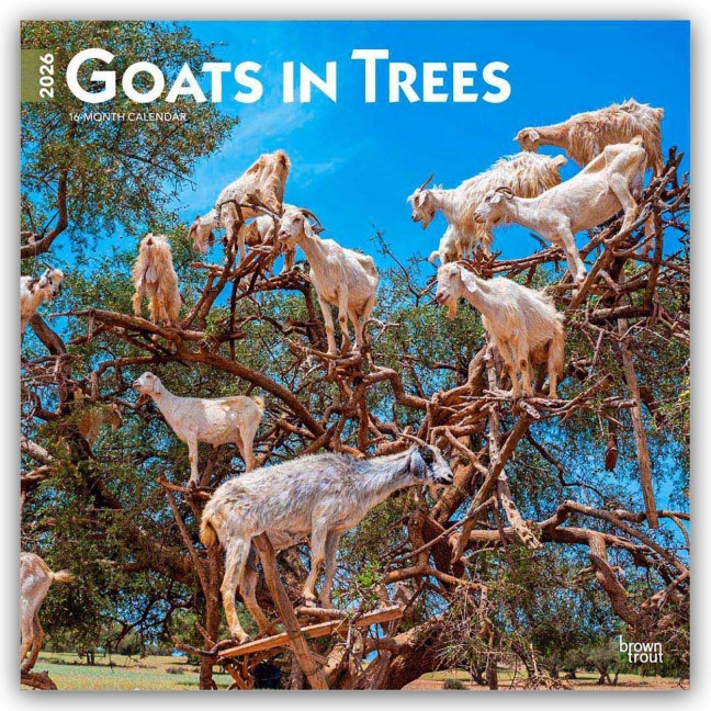 Goats in Trees - Ziegen in Bäumen 2026 - 16-Monatskalender - Browntrout Publishers