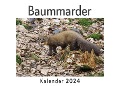 Baummarder (Wandkalender 2024, Kalender DIN A4 quer, Monatskalender im Querformat mit Kalendarium, Das perfekte Geschenk) - Anna Müller