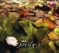 Cover-Bild zum Titel 'Siosin' von 'Kila'