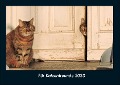 Für Katzenfreunde 2023 Fotokalender DIN A4 - Tobias Becker