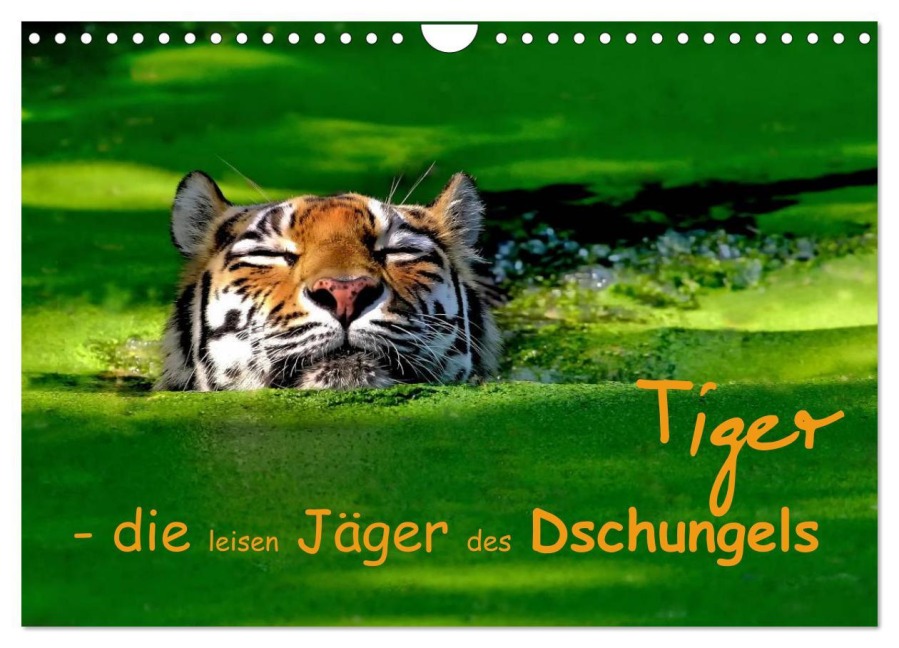 Tiger - die leisen Jäger des Dschungels (Wandkalender 2026 DIN A4 quer), CALVENDO Monatskalender - Elke Krone