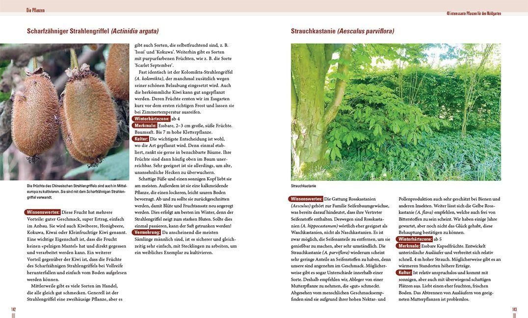 InsideView 4