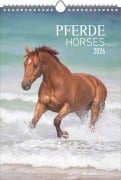 Pferde 2026 - Bildkalender 23,7x34 cm - Kalender mit Platz für Notizen - mit vielen Zusatzinformationen - Horses - Wandkalender - Alpha Edition - 