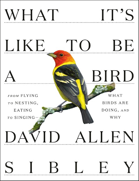 What It's Like to Be a Bird - David Allen Sibley