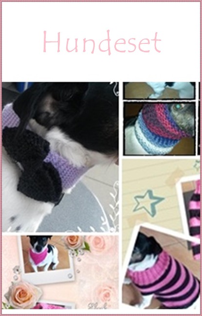 Strickanleitung 4in1 für den Hund- Loop, Hundepulli und mehr - Kerstin Münchehofe