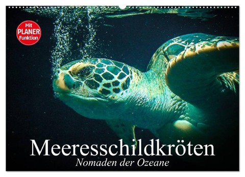 Meeresschildkröten. Nomaden der Ozeane (Wandkalender 2024 DIN A2 quer), CALVENDO Monatskalender - Elisabeth Stanzer