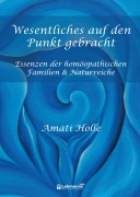 Cover-Bild zum Titel 'Wesentliches auf den Punkt gebracht' von 'Amati Holle'