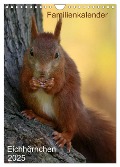 Eichhörnchen (Wandkalender 2025 DIN A4 hoch), CALVENDO Monatskalender - SchnelleWelten SchnelleWelten