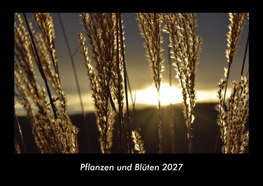 Pflanzen und Blüten 2027 Fotokalender DIN A3 - Tobias Becker