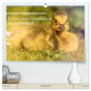 Cover-Bild zum Titel 'Flauschige Momente! Enten- und Gänseküken im Jahreslauf (hochwertiger Premium Wandkalender 2026 DIN A2 quer), Kunstdruck in Hochglanz' von 'Burkhard Pook - pnmedia'