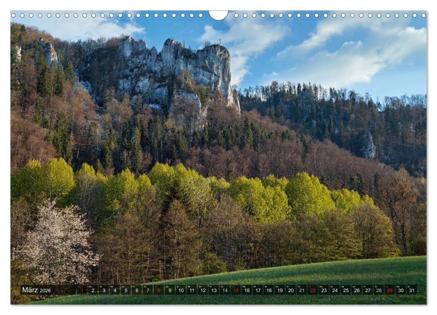 InsideView 8