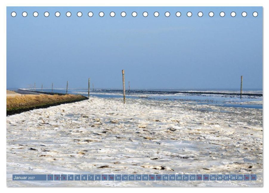 InsideView 6