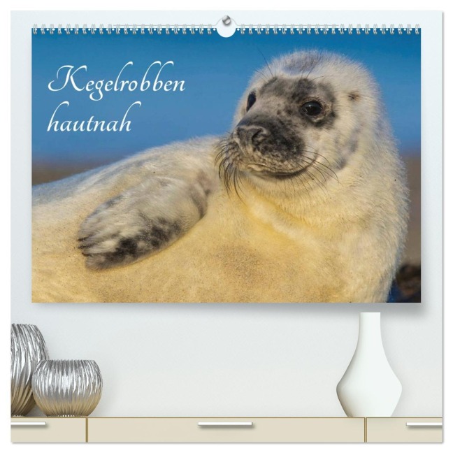 Kegelrobben hautnah (hochwertiger Premium Wandkalender 2026 DIN A2 quer), Kunstdruck in Hochglanz - Sigrid Starick