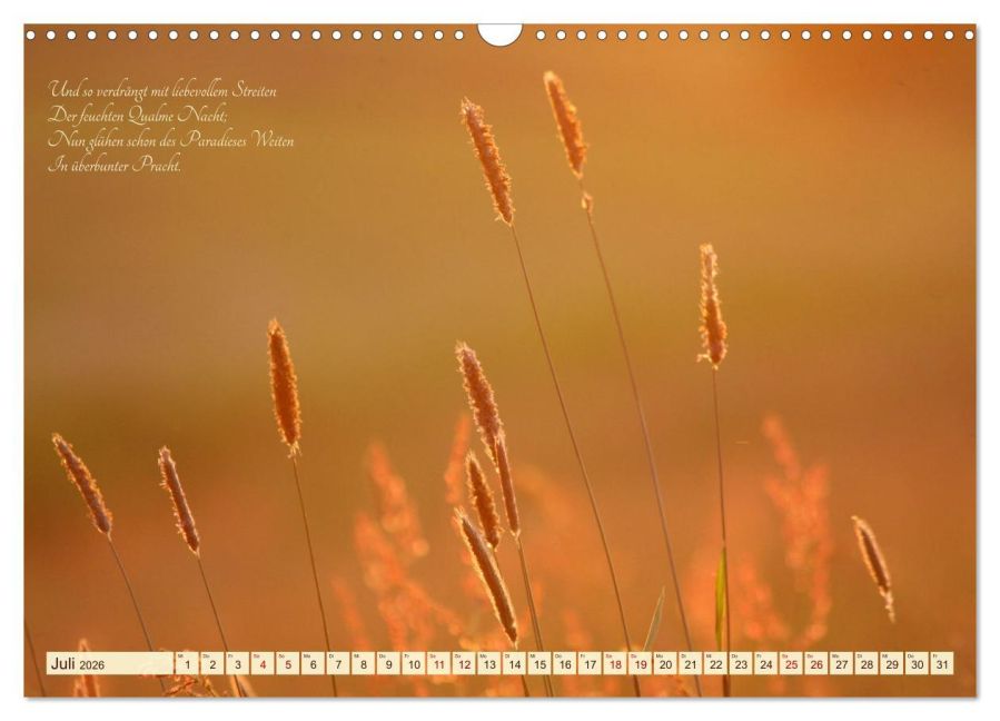 InsideView 12