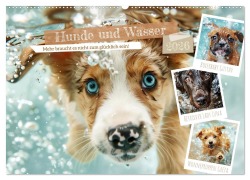 Cover-Bild zum Titel 'Hunde und Wasser (Wandkalender 2026 DIN A2 quer), CALVENDO Monatskalender' von 'Daniela Tapper'