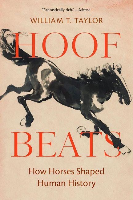 Hoof Beats - William T Taylor