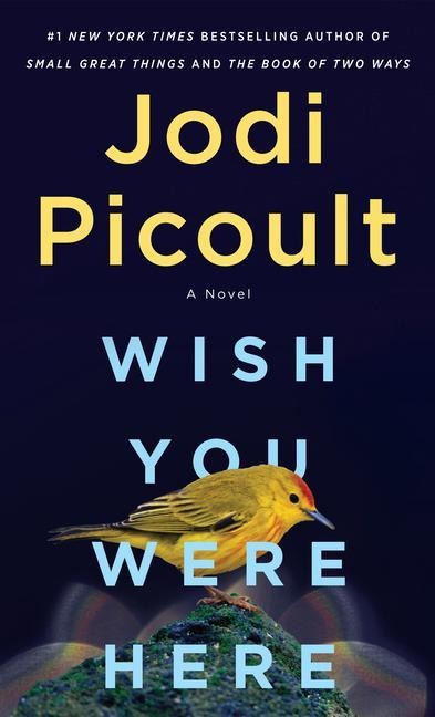 Wish You Were Here - Jodi Picoult