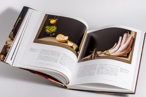 InsideView 8