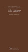 Cover-Bild zum Titel 'Ölü Adam' von 'Georges Bataille'