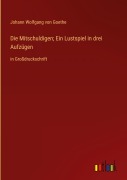 Cover-Bild zum Titel 'Die Mitschuldigen; Ein Lustspiel in drei Aufzügen' von 'Johann Wolfgang von Goethe'