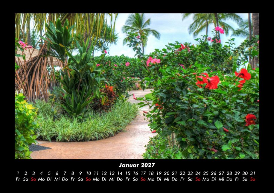 InsideView 5