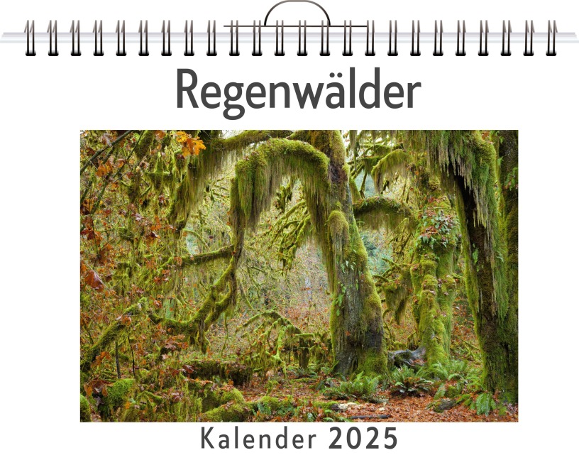 Regenwälder - (Wandkalender 2025, Kalender DIN A4 quer, Monatskalender im Querformat mit Kalendarium, das perfekte Geschenk) - Samuel Schmidt