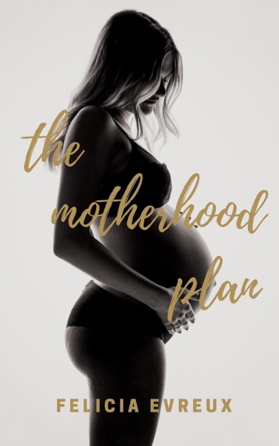 The Motherhood Plan - Felicia Evreux