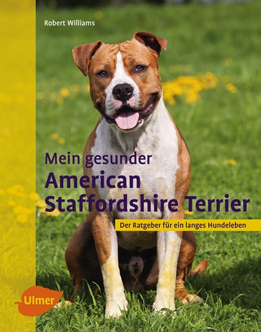 Mein gesunder American Staffordshire Terrier - Robert Williams