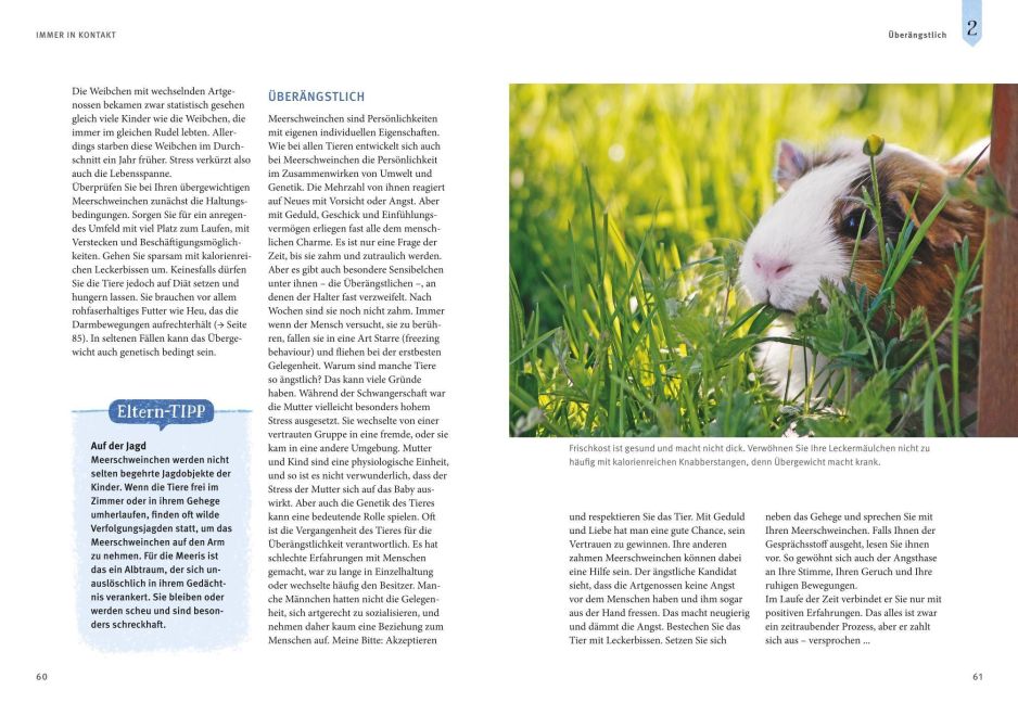 InsideView 7