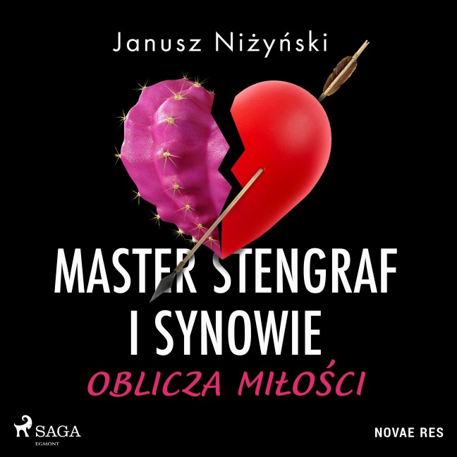 Master Stengraf i synowie. Oblicza mi¿o¿ci - Janusz Ni¿y¿ski