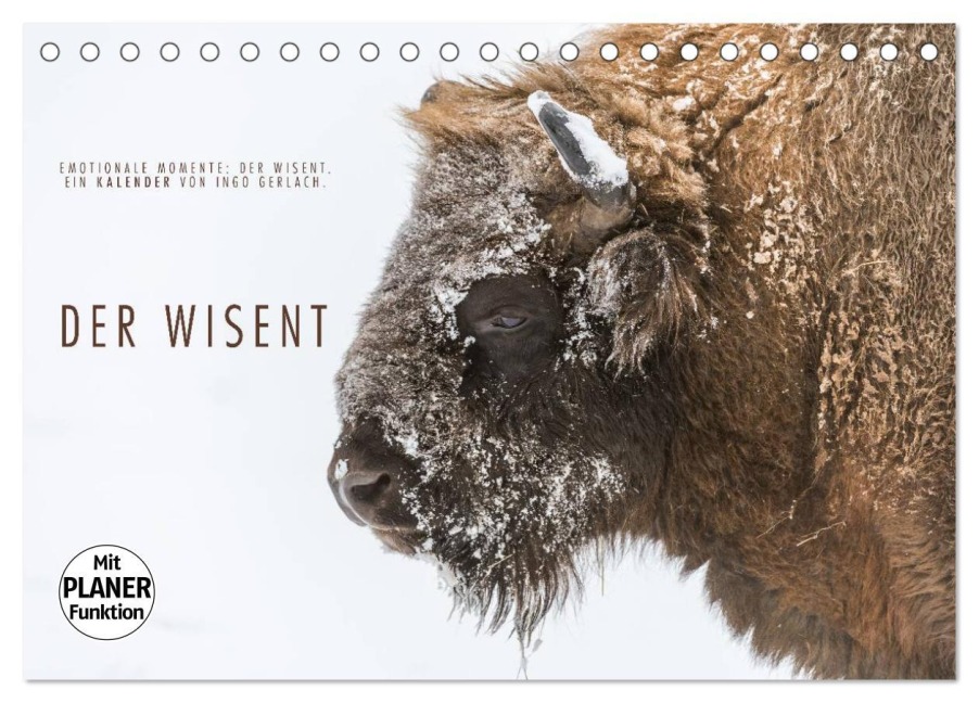 Emotionale Momente: Der Wisent. (Tischkalender 2025 DIN A5 quer), CALVENDO Monatskalender - Ingo Gerlach