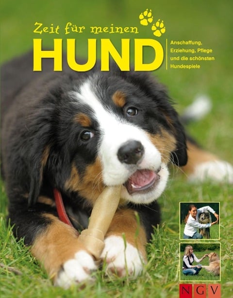 Zeit für meinen Hund - Jennifer Willms