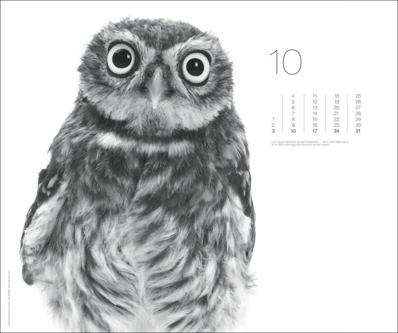 InsideView 10