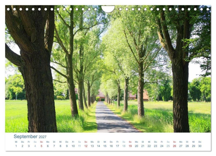 InsideView 14