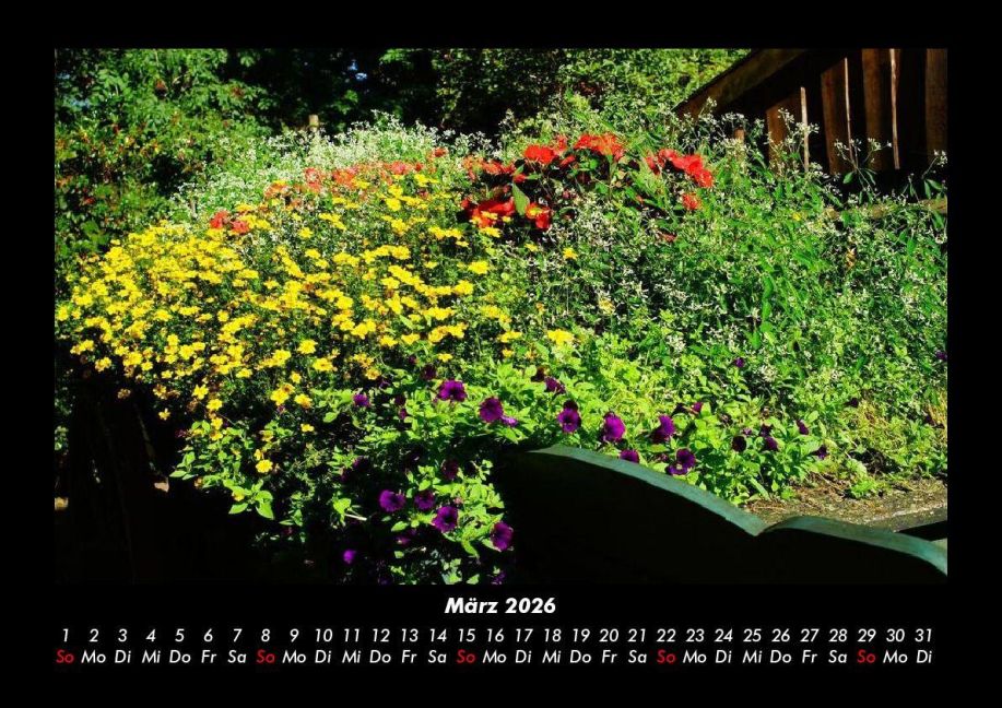 InsideView 7