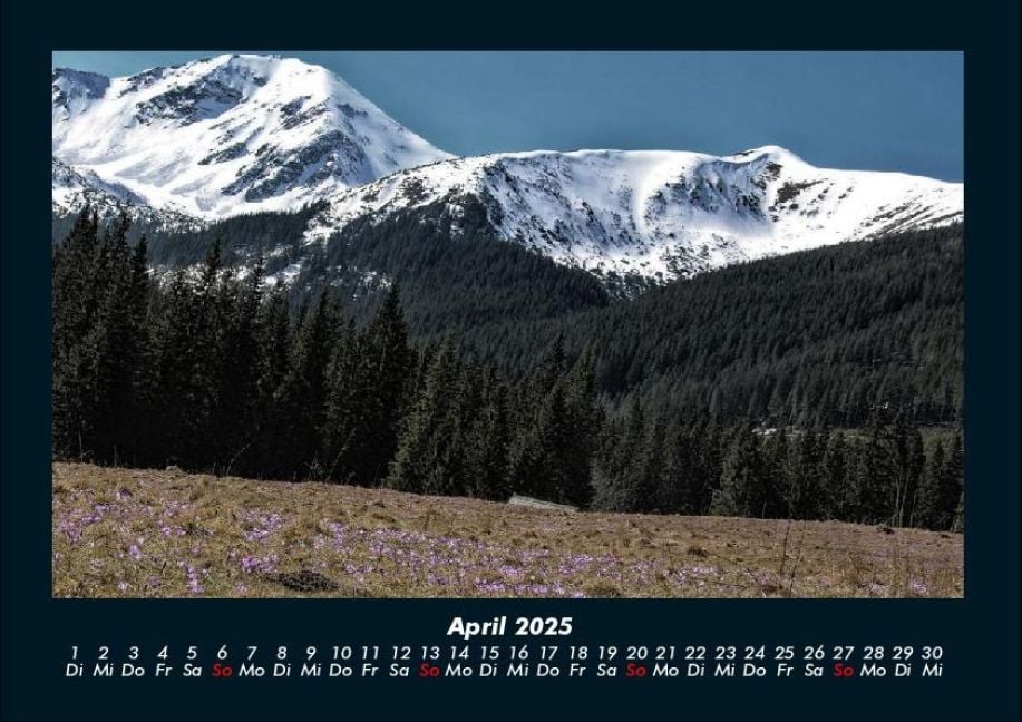 InsideView 8