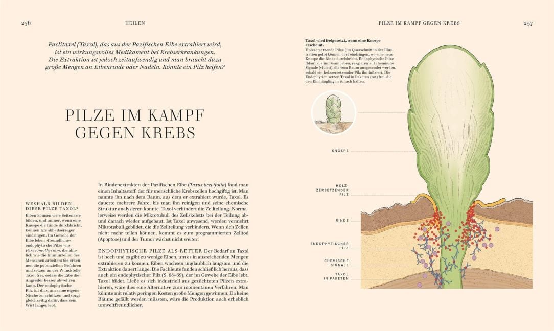 InsideView 8