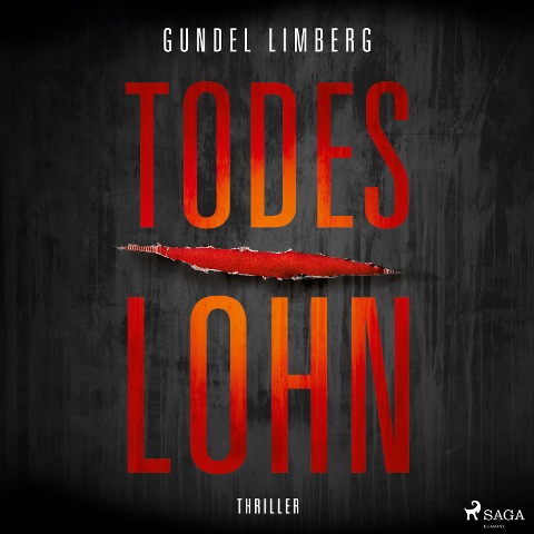Todeslohn: Thriller - Gundel Limberg