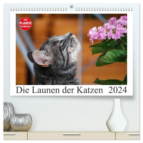 Die Launen der Katzen 2024 (hochwertiger Premium Wandkalender 2024 DIN A2 quer), Kunstdruck in Hochglanz - Anna Kropf