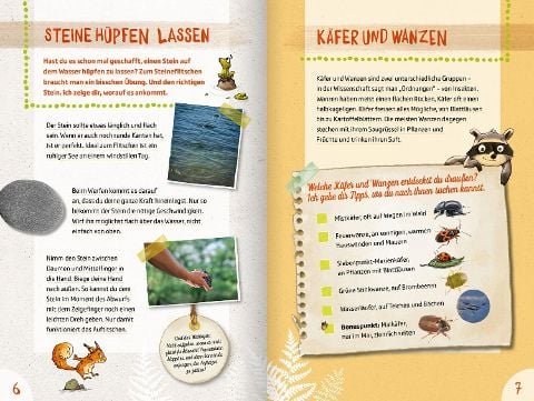 InsideView 4