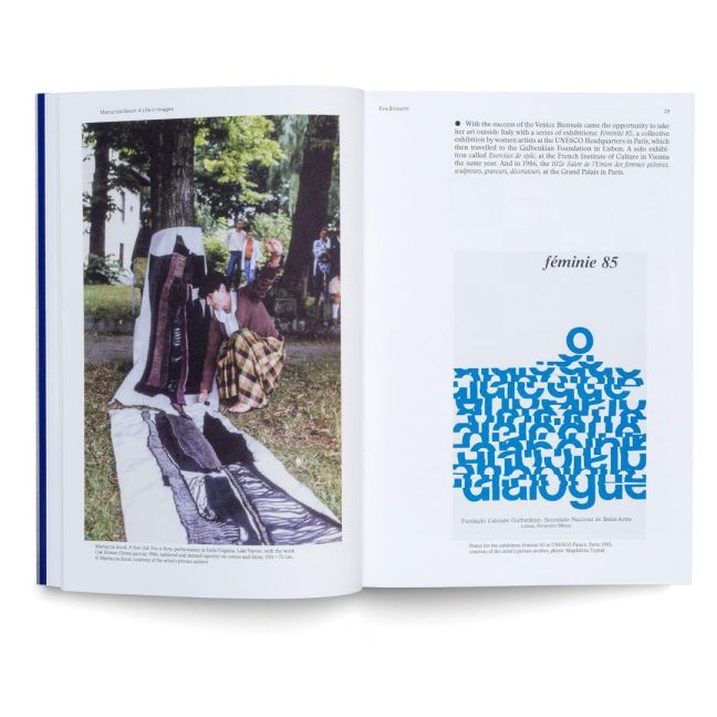 InsideView 4