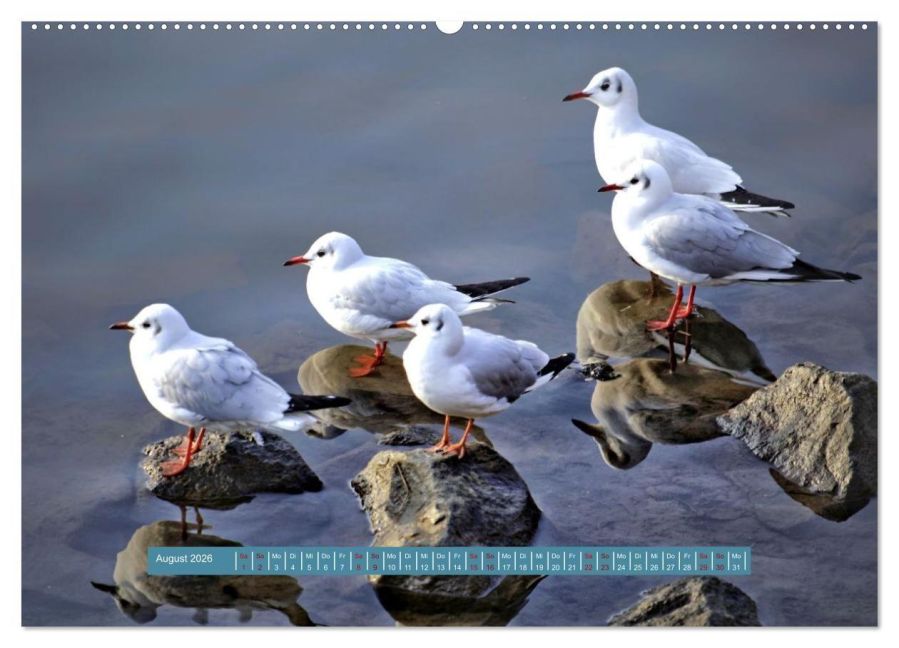 InsideView 12