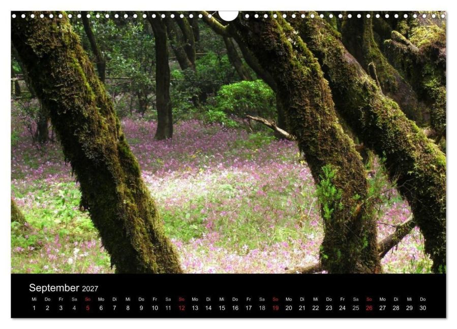 InsideView 14