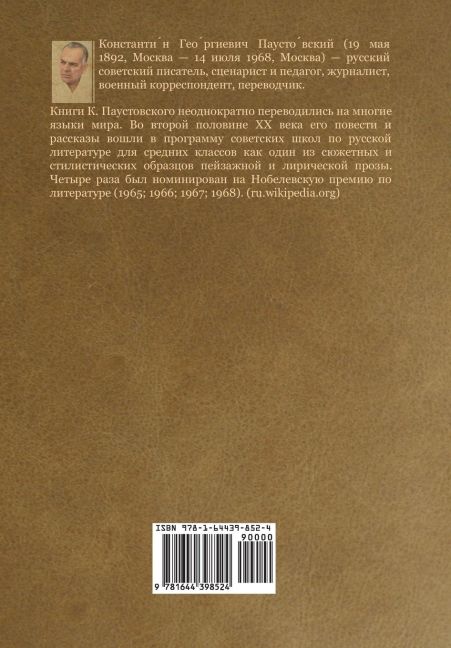 InsideView 1