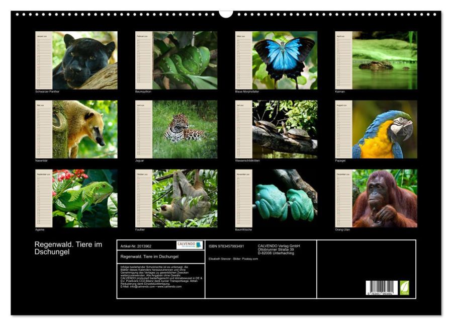 InsideView 5