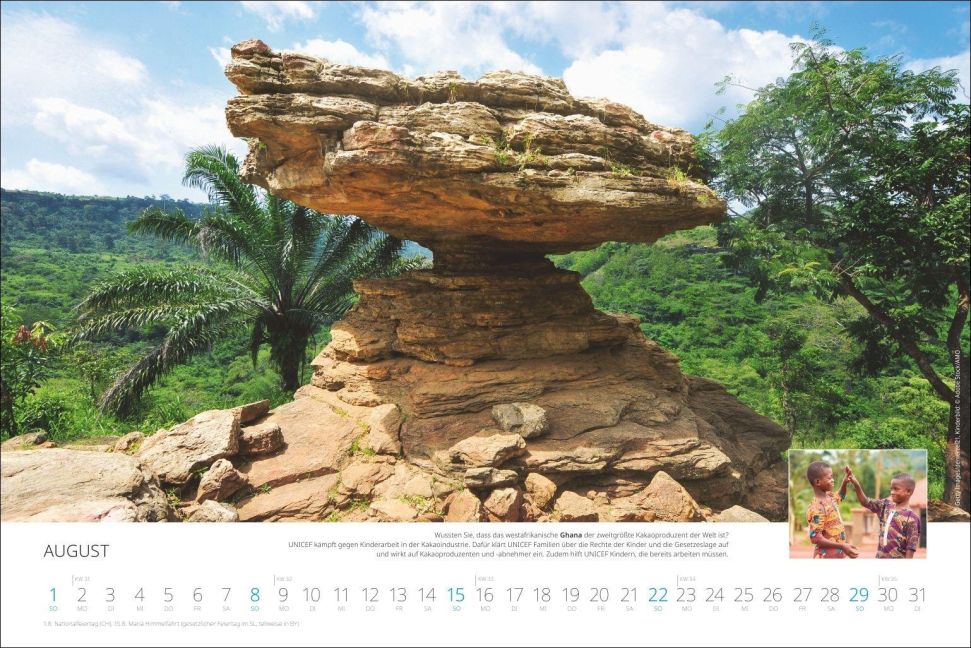 InsideView 8